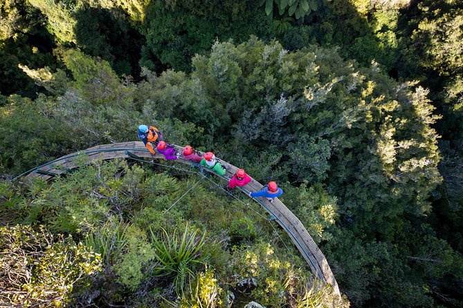 Rotorua’s Ultimate Zipline: 6 ziplines, 400 m Tandem, Cliff Walk - Who should book, and who should think twice?