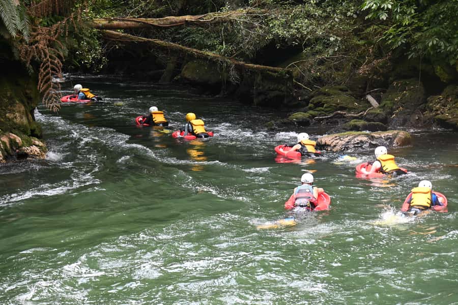 Rotorua Sledging: Kaituna White Water River Board Experience - Who Should Book This Kaituna Sledding Experience, and Who Should Skip It