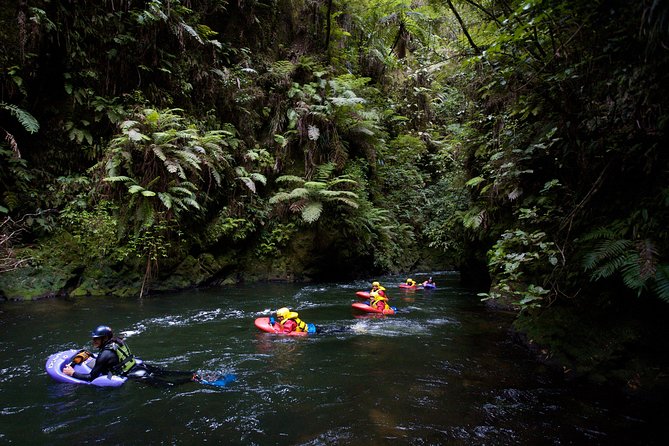 Rotorua Sledging White Water Sledging | Kaitiaki Adventures - Getting There: Pickup, Small Group Energy, and Time on the Water
