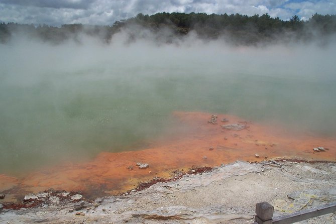 Rotorua Small-Group Day Tour from Auckland - A one-day Rotorua highlight reel from Auckland