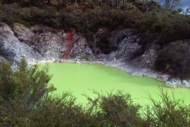 Rotorua Small-Group Day Tour from Auckland - Lake Rotorua and central Rotorua city time, what fits and what slips