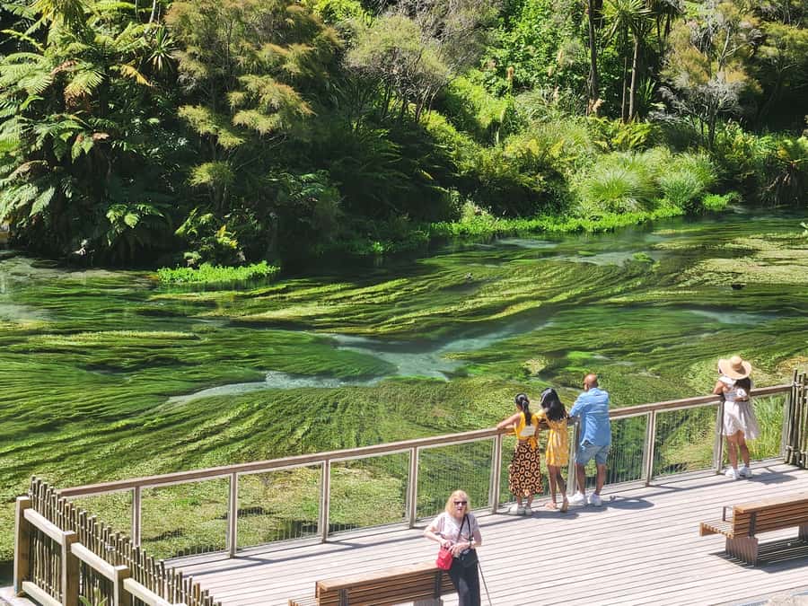 Rotorua & Taupo DayTour Waiotapu & Huka Falls from Auckland - Taupō for 90 minutes: viewpoints, breathing room, and lake context