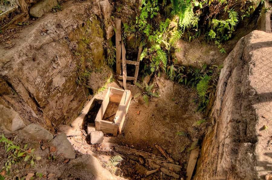 Rotorua: The Buried Village of Te Wairoa - Te Wairoa: a volcanic story you can walk through