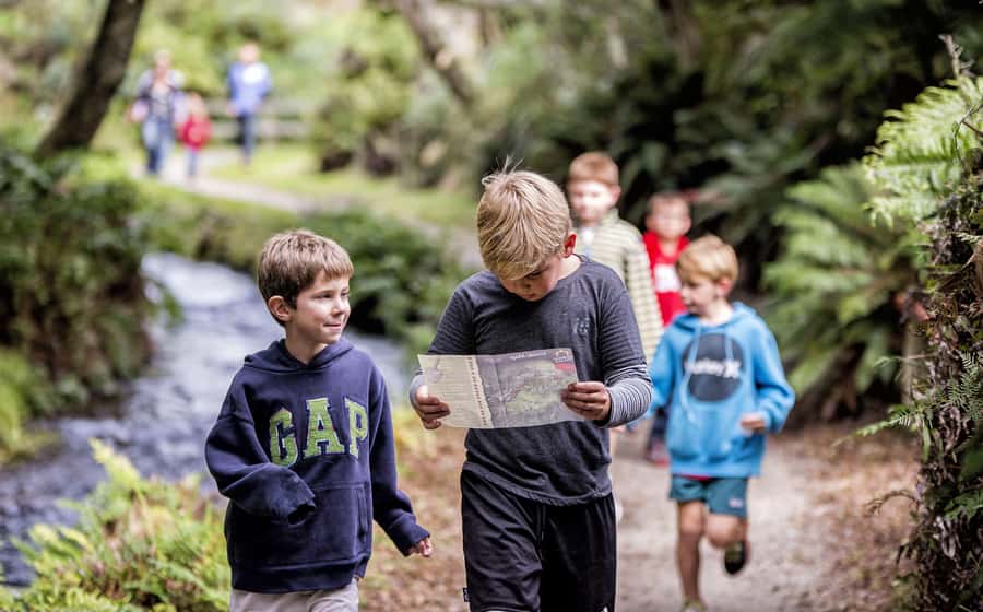 Rotorua: The Buried Village of Te Wairoa - Smith & Co cafe, scones, tea, and small rewards after walking