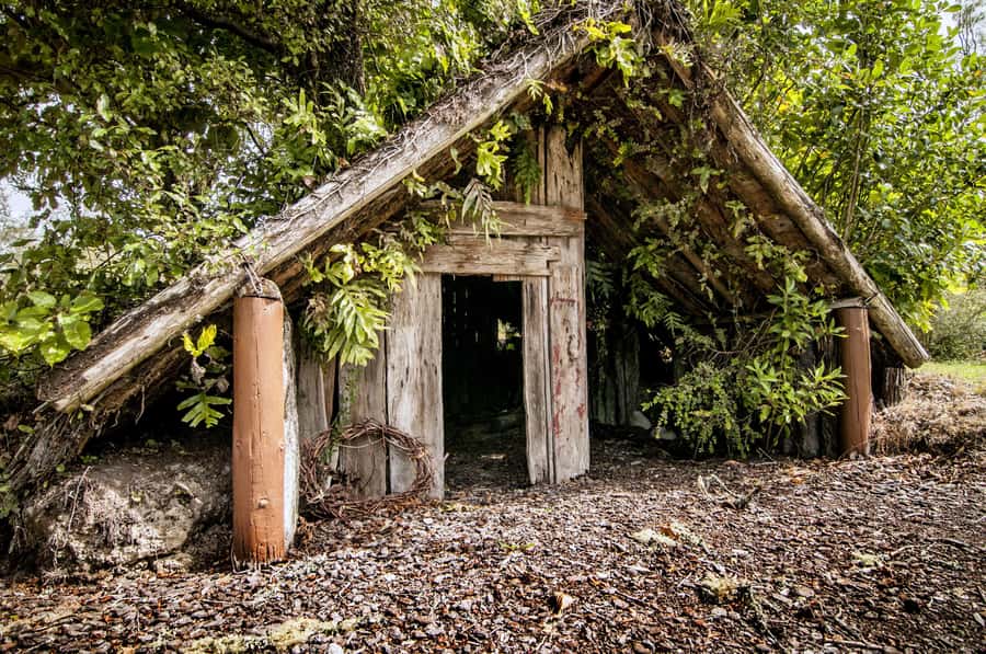 Rotorua: The Buried Village of Te Wairoa - Optional add-ons, like dressing up and a VR experience
