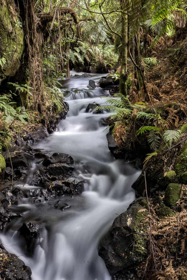 Rotorua: The Buried Village of Te Wairoa - Getting there from Rotorua (and how much time to plan)