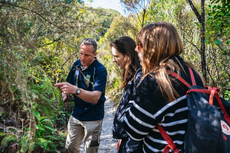 Rotorua: 'Thermal Path Tour' Geothermal half day Tour - Who this Rotorua Thermal Path Tour is best for