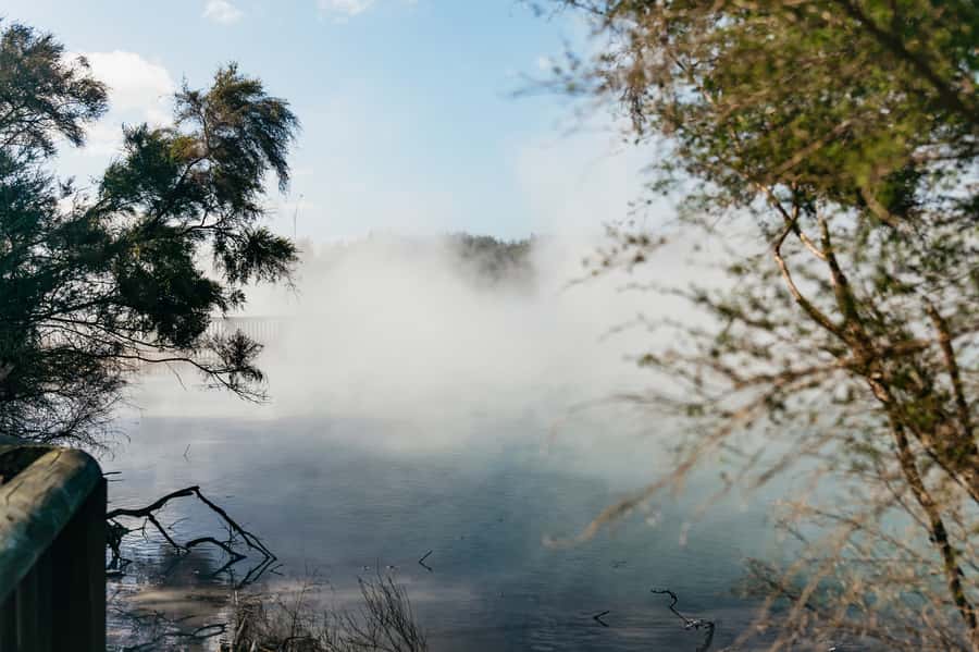 Rotorua: 'Thermal Path Tour' Geothermal half day Tour - Real Rotorua guides, small-group rhythm, and what to expect from Stephen