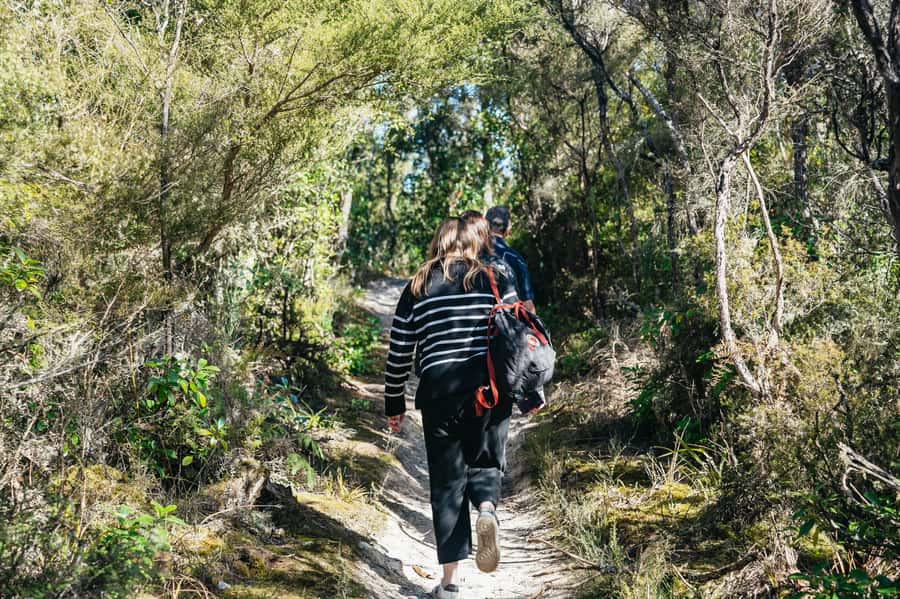 Rotorua: 'Thermal Path Tour' Geothermal half day Tour - Safety rules you should treat as non-negotiable