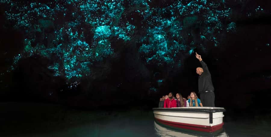 Rotorua to Auckland - Afternoon Transfer with Waitomo Caves - How the 7-hour schedule fits your day