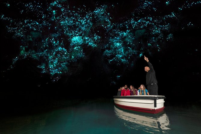 Rotorua to Auckland Afternoon Transfer with Waitomo Glow Worms - Rotorua to Auckland, with a glowworm stop in the middle