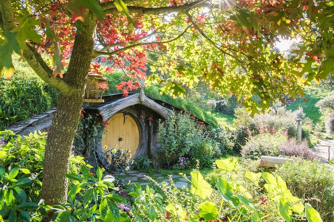 Rotorua to Auckland via Hobbiton Tour with Lunch - One Way - The day’s logistics you will actually care about