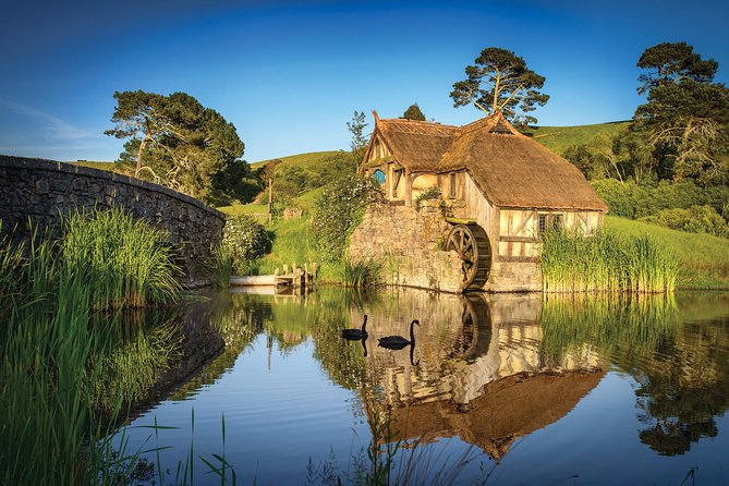 Rotorua to Auckland via Hobbiton Tour with Lunch - One Way - Why the coordination matters on travel days