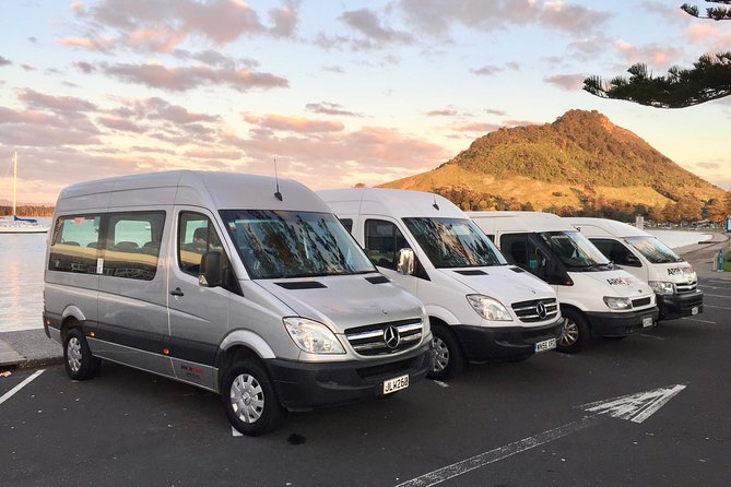 Rotorua via Kiwi/lakes country & a visit to iconic Whakarewarewa - Lake Okareka quick postcard views and the Rotorua hot pool option