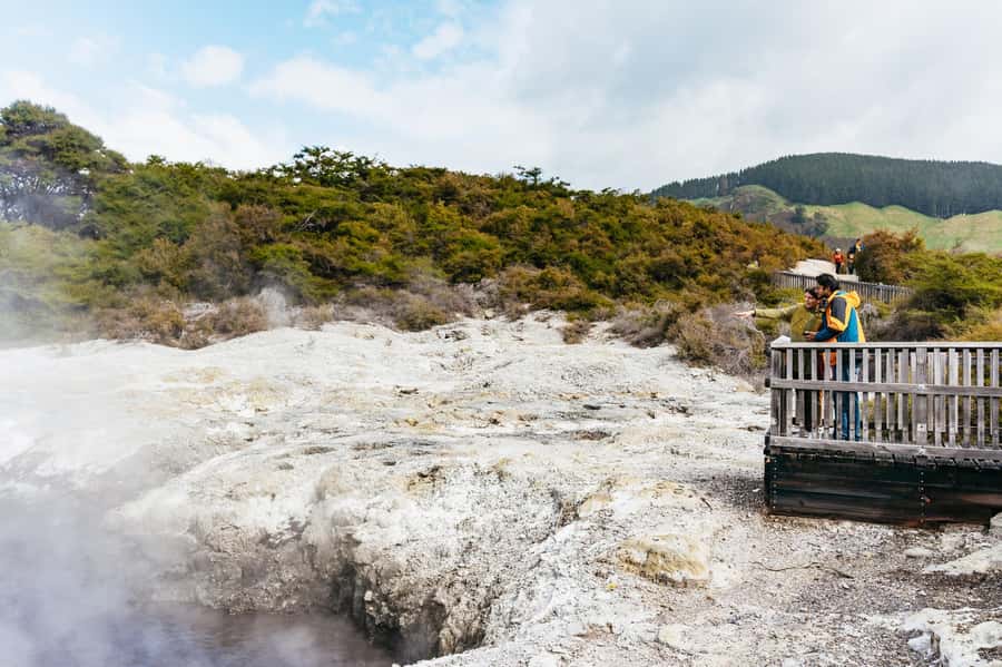 Rotorua: Wai-O-Tapu Geothermal Park Entry Ticket - Native Bush and Boardwalk Comfort: What Makes It More Than Just Pools
