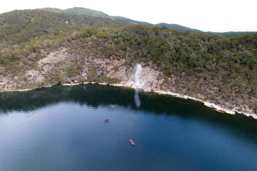 Rotorua: Waimangu Valley Walk and Steaming Cliffs Kayak Tour - Price and Value: Is $132 Worth It?