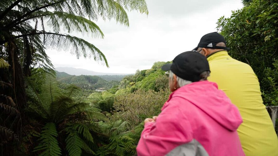 Rotorua: Waimangu Valley Walk and Steaming Cliffs Kayak Tour - Small Groups, Big Support: How Guidance Impacts Your Day