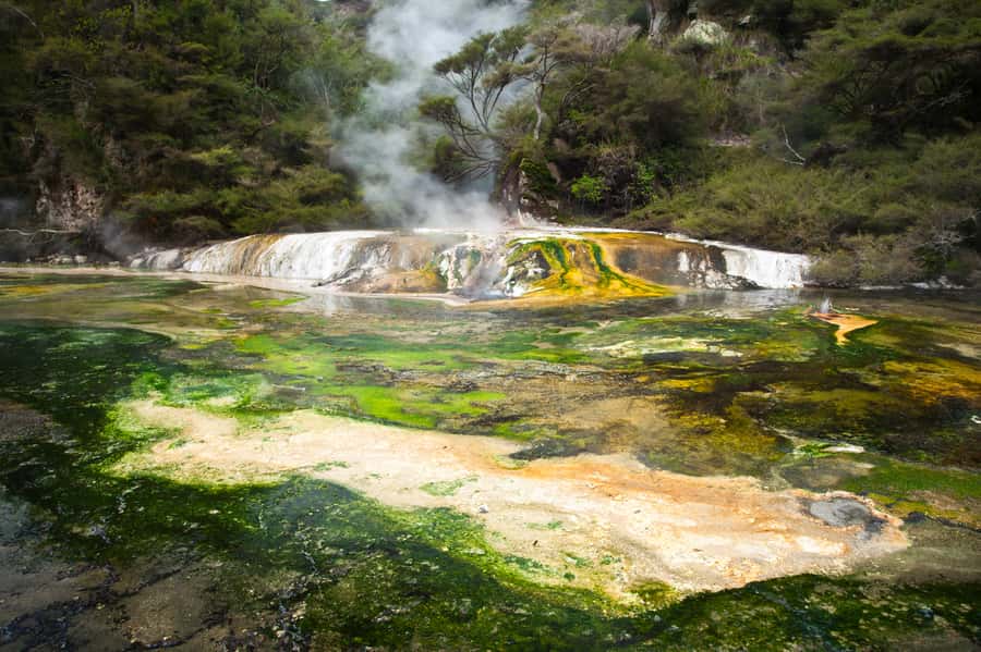 Rotorua: Waimangu Volcanic Valley Entry Ticket - Echo Crater and the bright blue of Inferno Crater