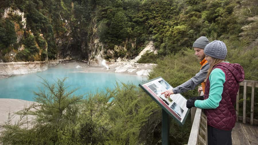 Rotorua: Waimangu Volcanic Valley Entry Ticket - Geothermal terraces, steam vents, and the native valley setting