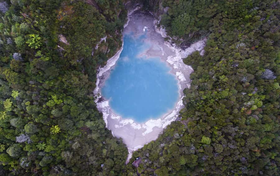Rotorua: Waimangu Volcanic Valley Entry Ticket - What to bring: the day is outdoors and the ground is active