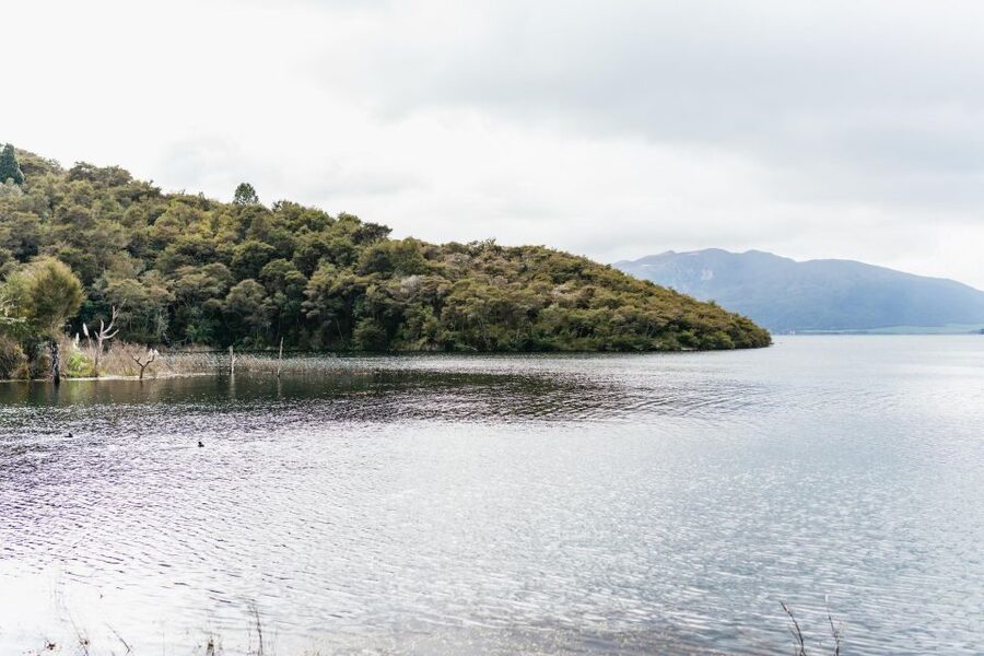 Rotorua: Waimangu Volcanic Valley Ticket & Self-Guided Walk - Key things you will notice in Waimangu