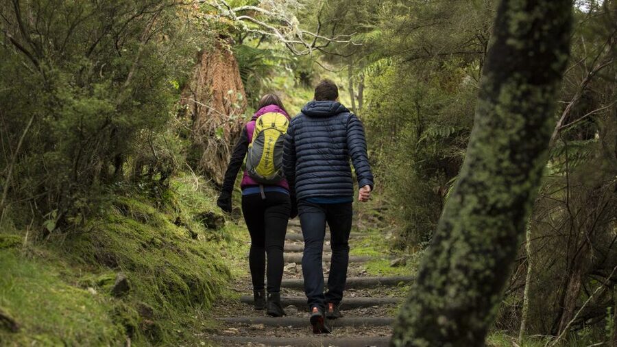 Rotorua: Waimangu Volcanic Valley Ticket & Self-Guided Walk - The optional Mount Haszard Hiking Trail (and who should skip it)