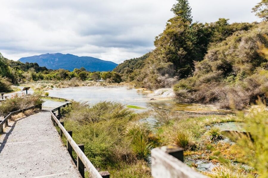 Rotorua: Waimangu Volcanic Valley Ticket & Self-Guided Walk - Using the courtesy shuttle in the valley (without losing your day)