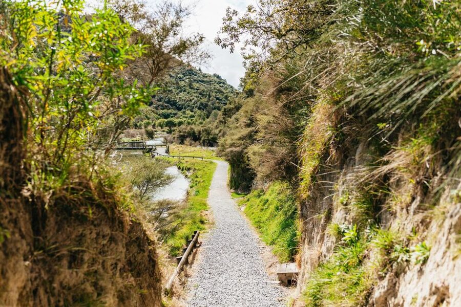 Rotorua: Waimangu Volcanic Valley Ticket & Self-Guided Walk - Check in, then go at your own tempo