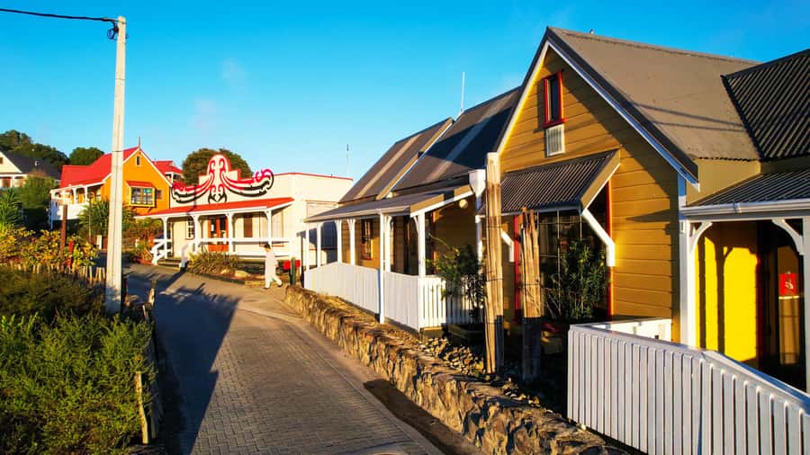 Rotorua: Whakarewarewa Village Guided Tour - Key highlights to watch for