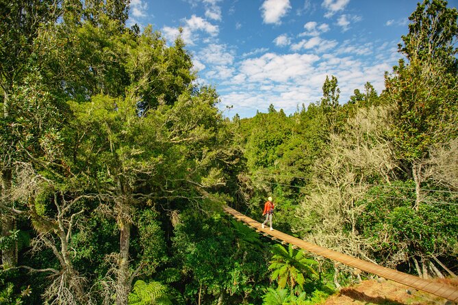 Rotorua Ziplines - Okere Falls Experience - Māori teas, mauri, and conservation ties that actually make sense