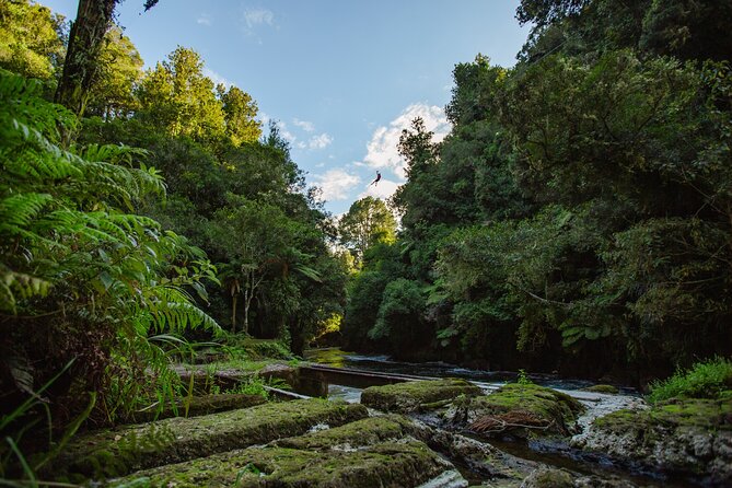 Rotorua Ziplines - Okere Falls Experience - Guides and small-group energy: what makes it feel safe