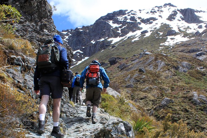 Routeburn Track Guided Hike (Full Day) - Routeburn Track guided hike, the key things you should care about