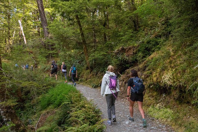 Routeburn Track Guided Hike (Full Day) - Routeburn Track in a full-day loop, what your body will feel