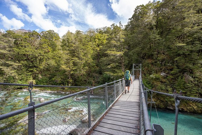 Routeburn Track Guided Walk (Half-Day) - Getting From Queenstown to Mt Aspiring Without the Headache