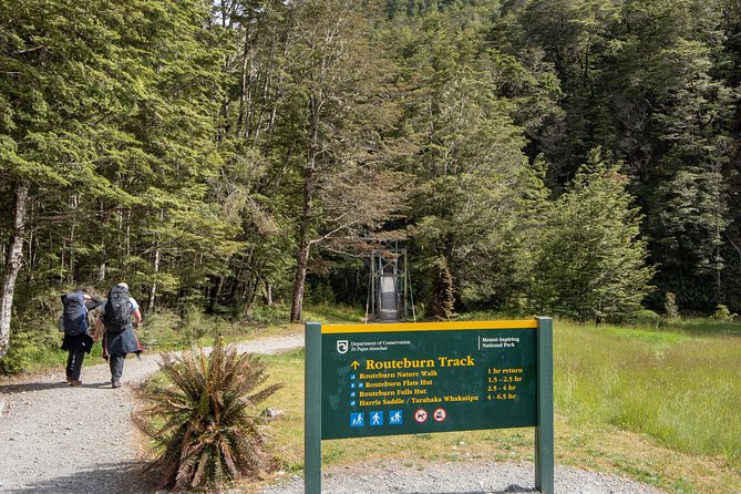 Routeburn Track Guided Walk (Half-Day) - Who This Half-Day Routeburn Walk Fits Best
