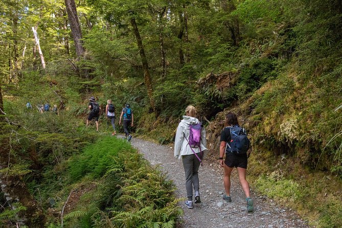 Routeburn Track Guided Walk (Half-Day) - What the Walk Really Feels Like, Gentle, Guided, and Focused