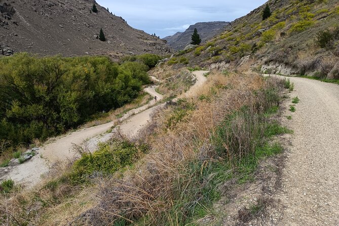 Roxburgh Gorge Bike Hire with Jet Boat & Return Shuttle Included - Roxburgh Gorge by e-bike, with the Clutha River in both modes