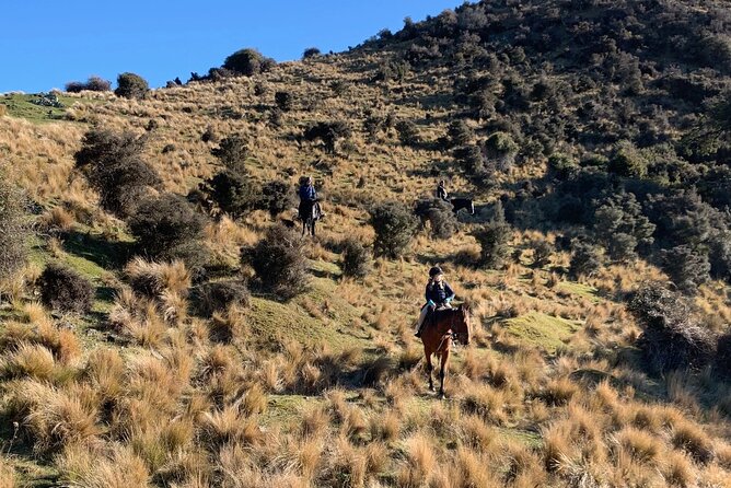 Rubicon Valley Horse Treks - 2 Hour River Trail Horse Trek - Otarama Lookout and Southern Alps Views: The Stop That Makes It Worth It