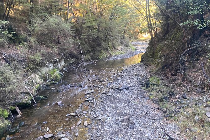 Rubicon Valley Horse Treks - 2 Hour River Trail Horse Trek - Safety Rules That Matter (Helmets, Weight Limits, Footwear)