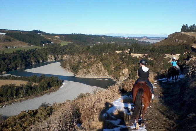 Rubicon Valley Horse Treks - 2 Hour River Trail Horse Trek - The Sheep Station Start Near Christchurch: Your First Minutes on Horseback