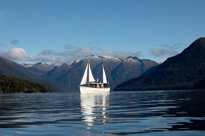 Scenic Cruise & Guided Walk on Historic Motor Yacht Lake Te Anau - Key things I’d circle before you book