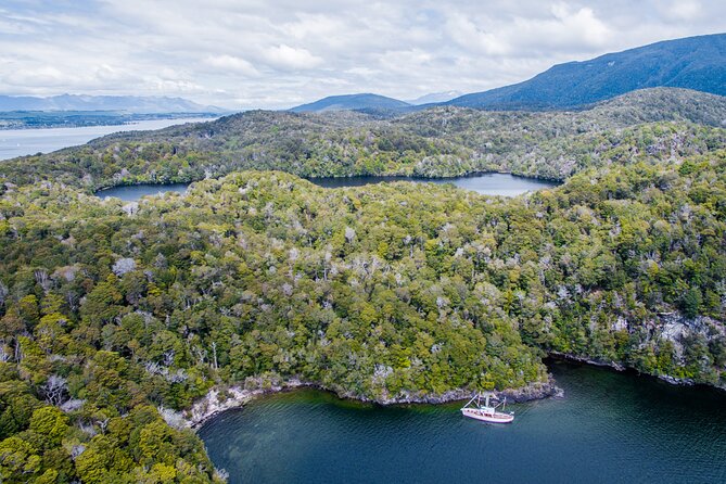 Scenic Cruise & Guided Walk on Historic Motor Yacht Lake Te Anau - Fiordland National Park at Te Wahipounamu: short walk, big views
