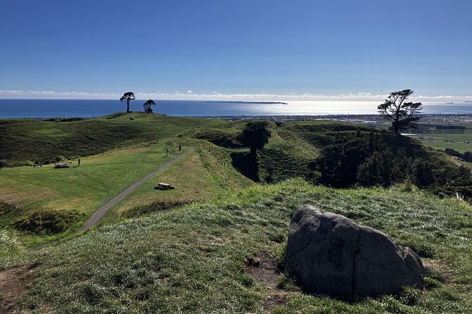 Scenic Short Hike Tour - Papamoa Hills and McLaren Falls - Papamoa Hills Cultural Heritage Park Short Hike, Big Views, Sheep Included