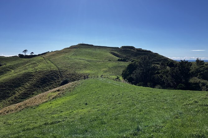 Scenic Short Hike Tour - Papamoa Hills and McLaren Falls - Price and Value: Is $80.05 Worth a Guided Hike Tour?