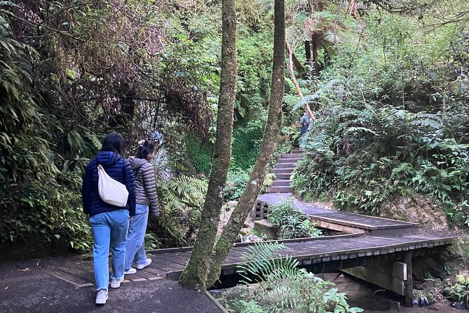 Scenic Short Hike Tour - Papamoa Hills and McLaren Falls - Should You Book This Short Hike Tour?