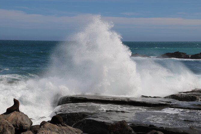 Scenic South Wairarapa Full Day Tour from Wellington - Key highlights worth caring about