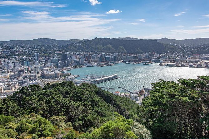 Scenic Wellington Helicopter Flight - Price and value: paying for time in the air