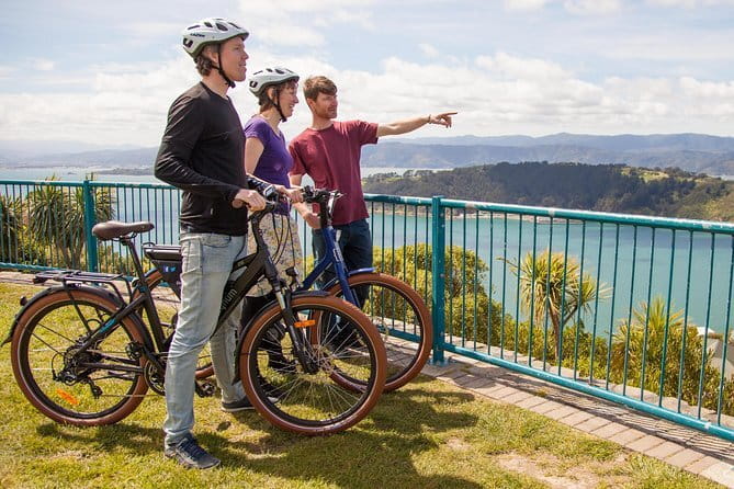 Scenic Wellington Helicopter Flight - Timing, weather, and how to maximize your odds