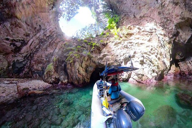 Sea Cave Adventures in the Coromandel - Key highlights before you go