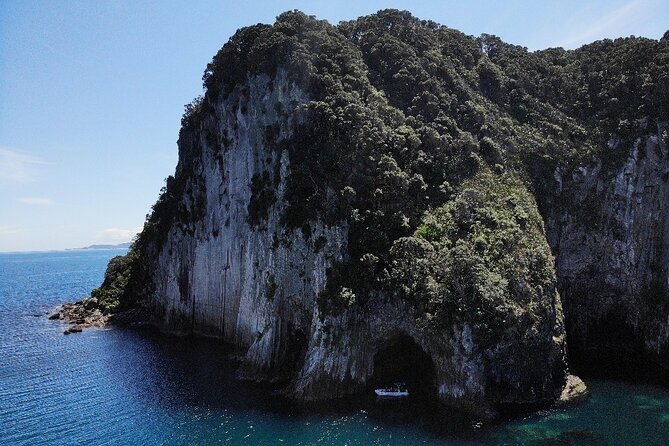Sea Cave Adventures in the Coromandel - Guides on this tour: why the human factor matters
